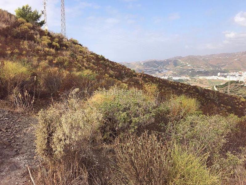 Foto 9053b930-f4a3-44a9-b76f-e4ee5e237747. Terreny residencial a El Peñoncillo Torrox Foto 9053b930-f4a3-44a9-b76f-e4ee5e237747. Terreny residencial a El Peñoncillo Torrox