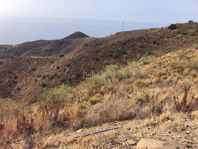 Foto ab41daa5-f207-4a56-a3a2-262ba3aadcc5. Terreny residencial a El Peñoncillo Torrox Foto ab41daa5-f207-4a56-a3a2-262ba3aadcc5. Terreny residencial a El Peñoncillo Torrox