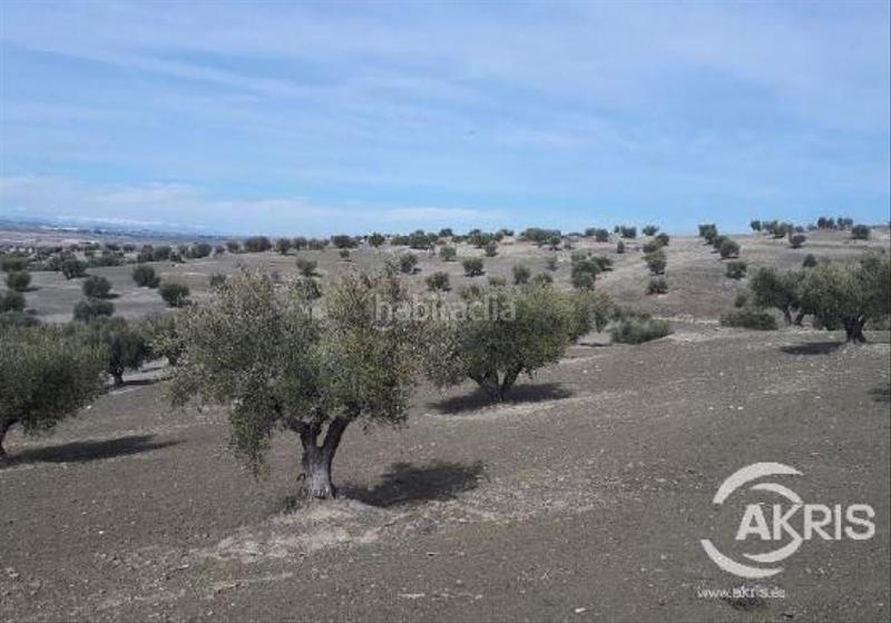 Foto b70df7fd-ecd7-4517-926e-81bef190ad3c. Finca rústica a Alameda de la Sagra Foto b70df7fd-ecd7-4517-926e-81bef190ad3c. Finca rústica a Alameda de la Sagra