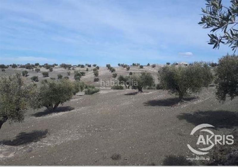 Foto f7bb1e56-f5fa-4e80-b0d9-79e011926f3e. Finca rústica a Alameda de la Sagra Foto f7bb1e56-f5fa-4e80-b0d9-79e011926f3e. Finca rústica a Alameda de la Sagra