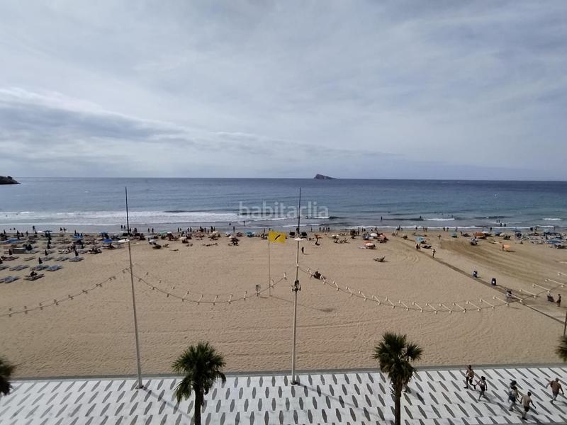 Foto c3e86bd3-d602-428c-ac18-55b444a6b38b. Piccolo appartamento con parcheggio piscina in Playa Levante Benidorm Foto c3e86bd3-d602-428c-ac18-55b444a6b38b. Piccolo appartamento con parcheggio piscina in Playa Levante Benidorm