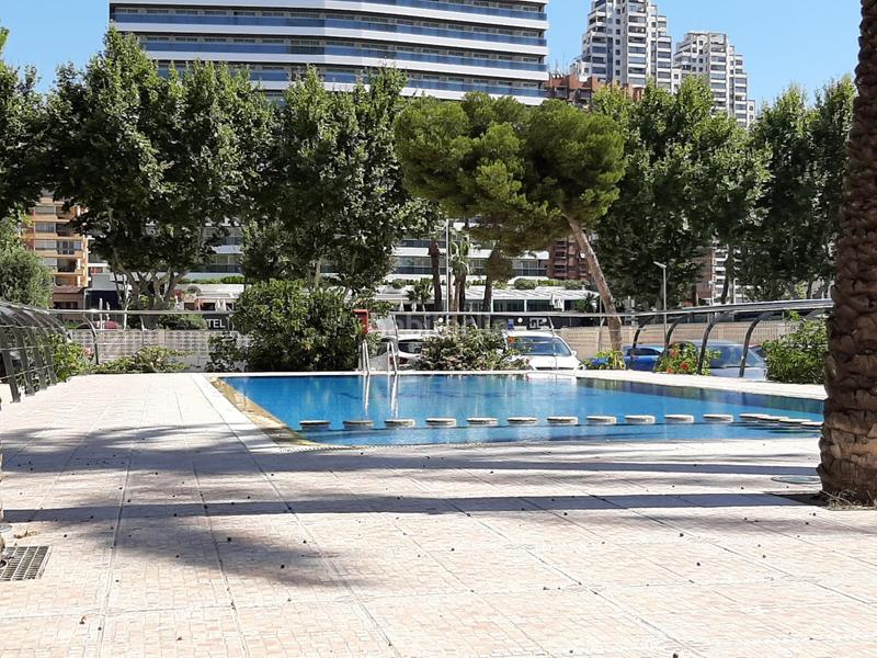 Foto e5c979ce-b9a8-4995-855d-f350b5f918f7. Piccolo appartamento con parcheggio piscina in Playa Levante Benidorm Foto e5c979ce-b9a8-4995-855d-f350b5f918f7. Piccolo appartamento con parcheggio piscina in Playa Levante Benidorm