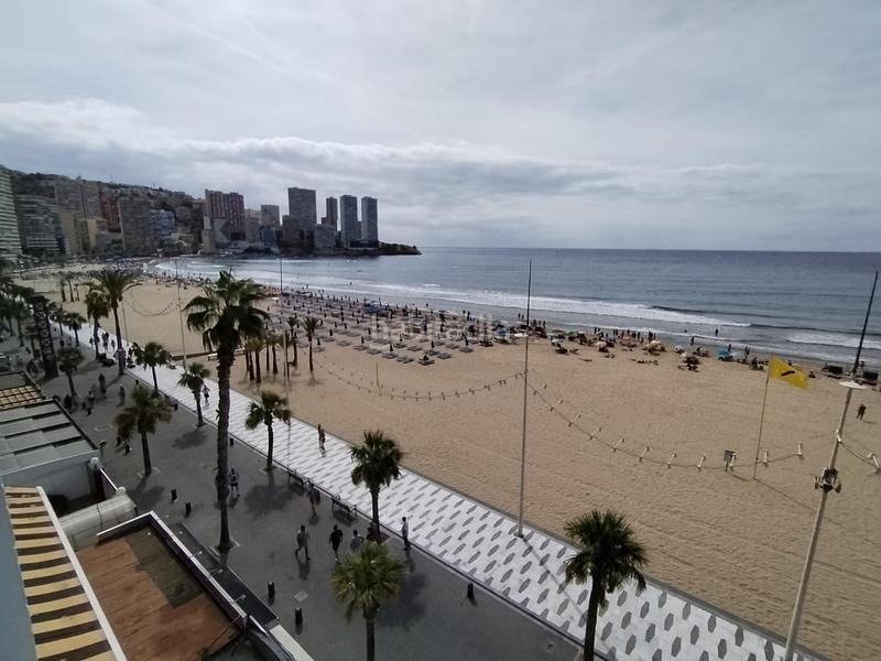 Foto efe32aed-e219-4f8a-8731-3fc20a3d4ea7. Piccolo appartamento con parcheggio piscina in Playa Levante Benidorm Foto efe32aed-e219-4f8a-8731-3fc20a3d4ea7. Piccolo appartamento con parcheggio piscina in Playa Levante Benidorm