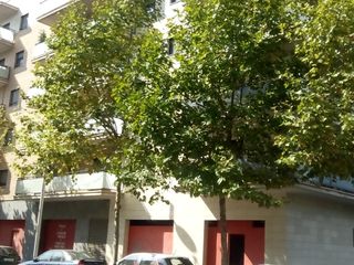 Alquiler Local Comercial en Carrer jaume vidal alcover, 3. Local zona nueva expansion Alquiler Local Comercial en Carrer jaume vidal alcover, 3. Local zona nueva expansion