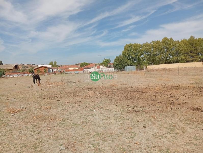 Foto ee7fb05b-3005-48b4-988f-784fea5d2dc7. Terreno residencial en avenida del ferrocarril 19 en Yeles Foto ee7fb05b-3005-48b4-988f-784fea5d2dc7. Terreno residencial en avenida del ferrocarril 19 en Yeles