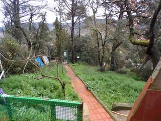 Finca rústica Sant roc. Terreno en venta en urbanización de massanes Finca rústica Sant roc. Terreno en venta en urbanización de massanes