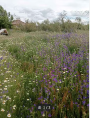 Location Propriété à A-407 27. Parcela rustica para animales y huerto Location Propriété à A-407 27. Parcela rustica para animales y huerto