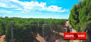 Finca rústica a Polígono 14 292. Huerto de naranjos en plena producción en naquera – ref. ig-370 Finca rústica a Polígono 14 292. Huerto de naranjos en plena producción en naquera – ref. ig-370