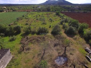 Solar urbano en Búger. Terreno a la venta en buger con proyecto para construir una casa Solar urbano en Búger. Terreno a la venta en buger con proyecto para construir una casa