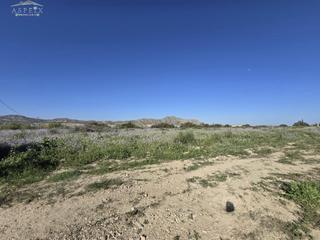 Finca rústica a Pedanías Este. Terreno en aspe Finca rústica a Pedanías Este. Terreno en aspe