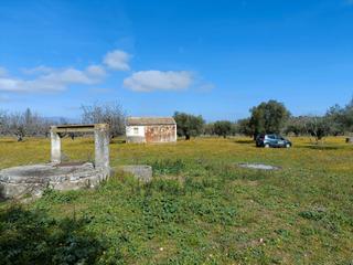 Propriété à Lucillos. Lucillos. finca de 14.284 m2. con olivos e higueras. casa de 27 Propriété à Lucillos. Lucillos. finca de 14.284 m2. con olivos e higueras. casa de 27