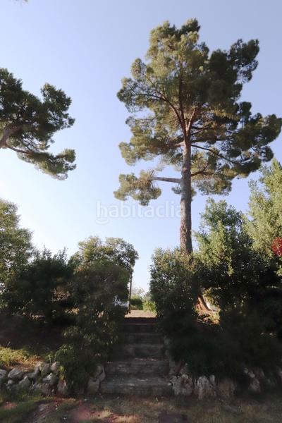 Foto 45ac0ecb-79b2-43ba-92b2-b7d1e91ecfc2. Terreno residencial en Somosaguas Pozuelo de Alarcón Foto 45ac0ecb-79b2-43ba-92b2-b7d1e91ecfc2. Terreno residencial en Somosaguas Pozuelo de Alarcón