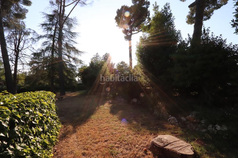 Foto 8ef2ec1b-d37a-4886-98b2-17e9ac586679. Terreno residencial en Somosaguas Pozuelo de Alarcón Foto 8ef2ec1b-d37a-4886-98b2-17e9ac586679. Terreno residencial en Somosaguas Pozuelo de Alarcón