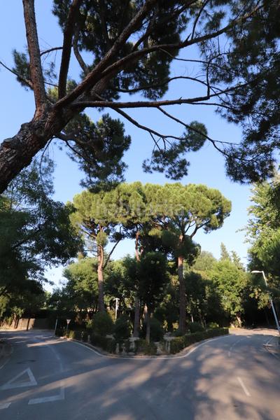 Foto a348ec08-af2f-4230-b038-c7454e3fa8ac. Terreno residencial en Somosaguas Pozuelo de Alarcón Foto a348ec08-af2f-4230-b038-c7454e3fa8ac. Terreno residencial en Somosaguas Pozuelo de Alarcón