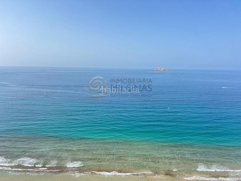 Foto 11c94872-4ced-424d-bd94-d7cc5afa36df. Monolocale con parcheggio piscina in Playa Levante Benidorm Foto 11c94872-4ced-424d-bd94-d7cc5afa36df. Monolocale con parcheggio piscina in Playa Levante Benidorm