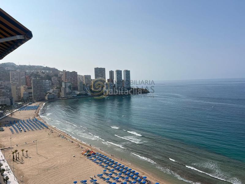 Foto 8b1bad8f-c0c1-4221-b8f1-ee1f6b006826. Monolocale con parcheggio piscina in Playa Levante Benidorm Foto 8b1bad8f-c0c1-4221-b8f1-ee1f6b006826. Monolocale con parcheggio piscina in Playa Levante Benidorm