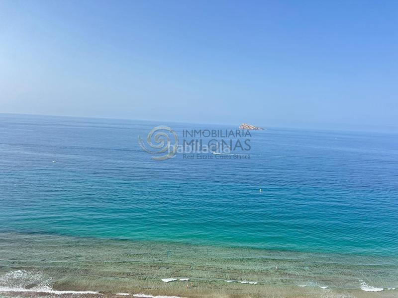 Foto f3e76cca-6fb1-49f0-ab4b-7718157a808a. Monolocale con parcheggio piscina in Playa Levante Benidorm Foto f3e76cca-6fb1-49f0-ab4b-7718157a808a. Monolocale con parcheggio piscina in Playa Levante Benidorm