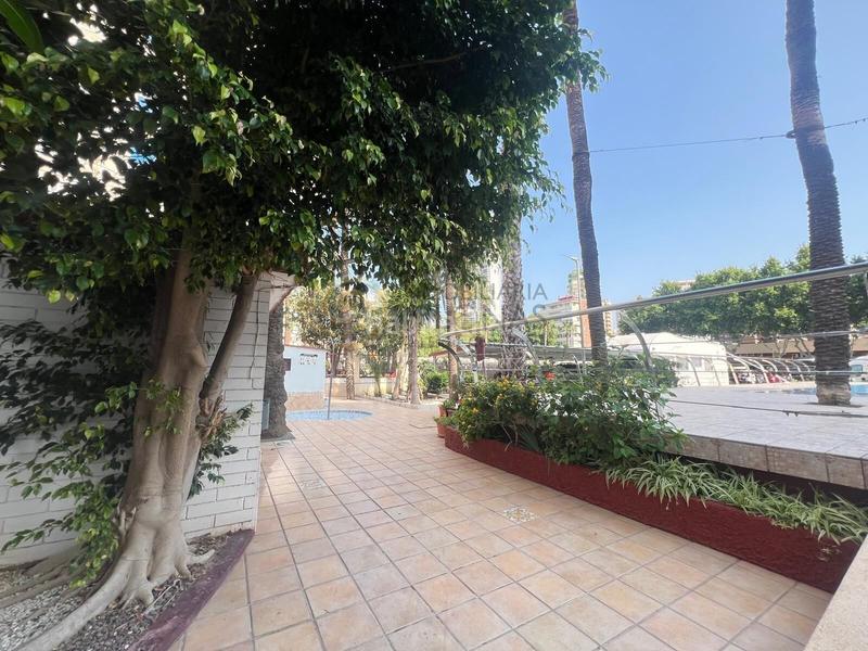 Foto f5ece3a5-4f9f-4ba7-bece-c7025b8c15a6. Monolocale con parcheggio piscina in Playa Levante Benidorm Foto f5ece3a5-4f9f-4ba7-bece-c7025b8c15a6. Monolocale con parcheggio piscina in Playa Levante Benidorm
