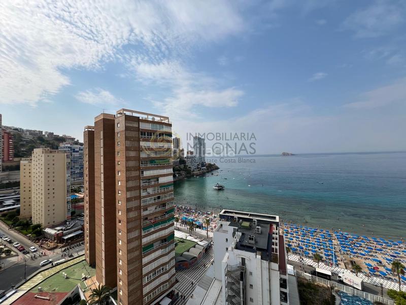 Foto f1ba91d1-dadc-499f-bcd9-7cead086fffa. Appartamento con parcheggio piscina in Playa Levante Benidorm Foto f1ba91d1-dadc-499f-bcd9-7cead086fffa. Appartamento con parcheggio piscina in Playa Levante Benidorm