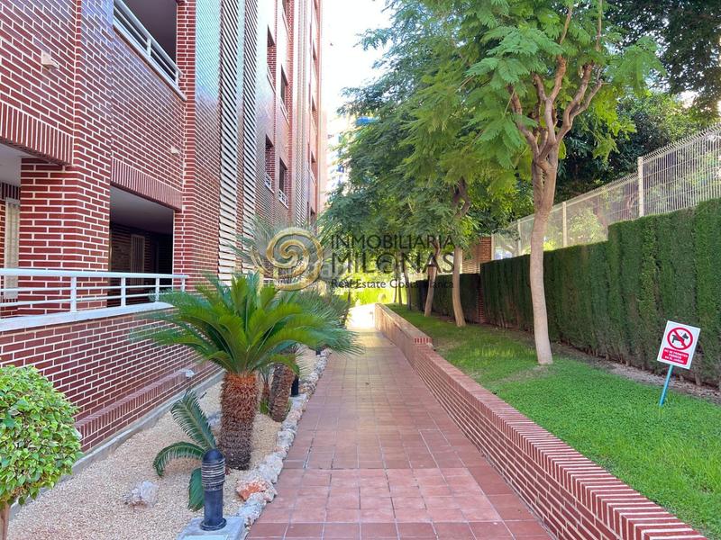Foto 56fd67b3-804d-4fd6-a735-f973002c5203. Piccolo appartamento con parcheggio piscina in Alitana-Casablanca Vila Joiosa (la) Foto 56fd67b3-804d-4fd6-a735-f973002c5203. Piccolo appartamento con parcheggio piscina in Alitana-Casablanca Vila Joiosa (la)