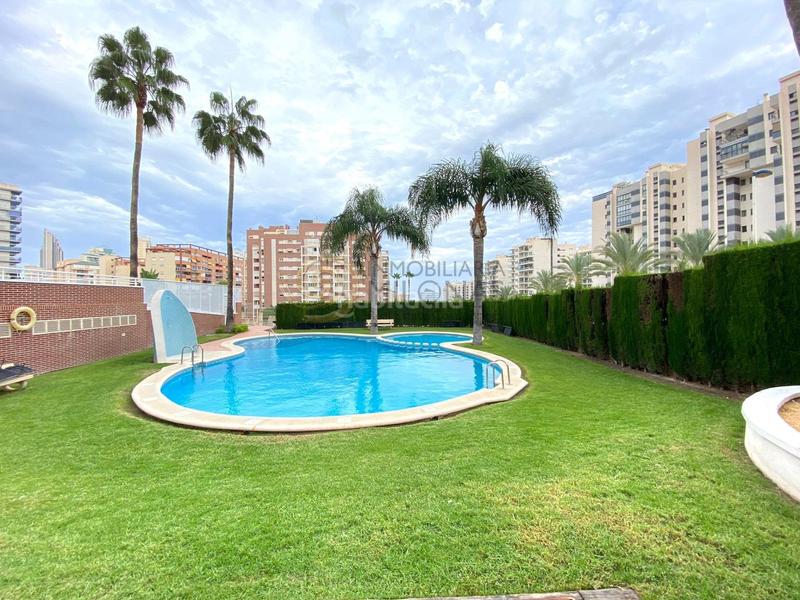 Foto c6afff2a-5968-4c91-87bf-f09720e2f239. Piccolo appartamento con parcheggio piscina in Alitana-Casablanca Vila Joiosa (la) Foto c6afff2a-5968-4c91-87bf-f09720e2f239. Piccolo appartamento con parcheggio piscina in Alitana-Casablanca Vila Joiosa (la)