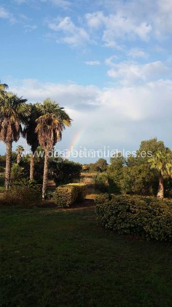 Foto d4b3fc2c-7fc4-4e3a-aa37-d6ca91fcbc01. Lloguer xalet amb xemeneia calefacció a El Vedat - Santa Apolonia Torrent Foto d4b3fc2c-7fc4-4e3a-aa37-d6ca91fcbc01. Lloguer xalet amb xemeneia calefacció a El Vedat - Santa Apolonia Torrent