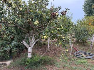 Propriété à N/a. Huerto junto rio ripoll Propriété à N/a. Huerto junto rio ripoll