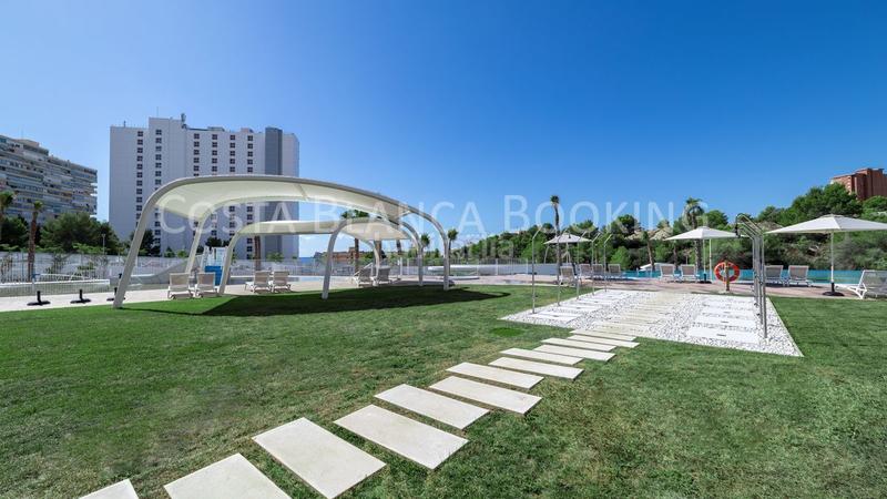 Foto 6cd6a2ca-3eaf-4efc-b771-4b8c86e83674. Apartament a Playa Poniente Benidorm Foto 6cd6a2ca-3eaf-4efc-b771-4b8c86e83674. Apartament a Playa Poniente Benidorm