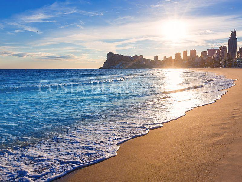 Foto 8eb56f87-56be-43c4-bf3f-f01c025291cb. Apartament a Playa Poniente Benidorm Foto 8eb56f87-56be-43c4-bf3f-f01c025291cb. Apartament a Playa Poniente Benidorm