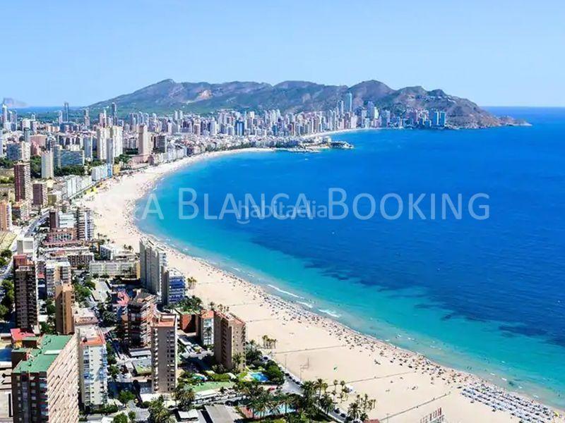 Foto a93651cd-9edf-4321-b67c-5bebbb873270. Apartament a Playa Poniente Benidorm Foto a93651cd-9edf-4321-b67c-5bebbb873270. Apartament a Playa Poniente Benidorm