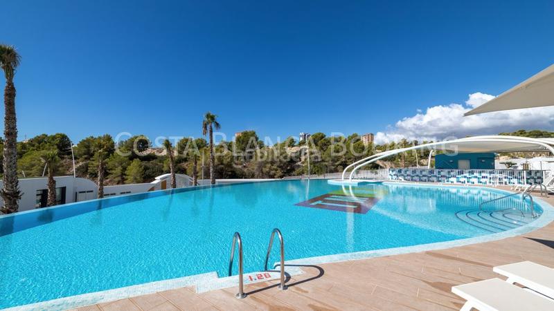 Foto fdfbaba5-dd31-4031-ab54-75b2e2a98780. Apartament a Playa Poniente Benidorm Foto fdfbaba5-dd31-4031-ab54-75b2e2a98780. Apartament a Playa Poniente Benidorm