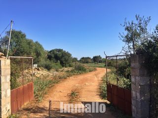 Landgut Cas perets poligono Landgut Cas perets poligono