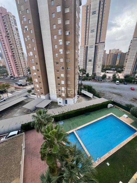 Foto ff09fea5-6adb-4c01-b13f-e457ddc9c02c. Apartament amb piscina a Levante Alto Benidorm Foto ff09fea5-6adb-4c01-b13f-e457ddc9c02c. Apartament amb piscina a Levante Alto Benidorm