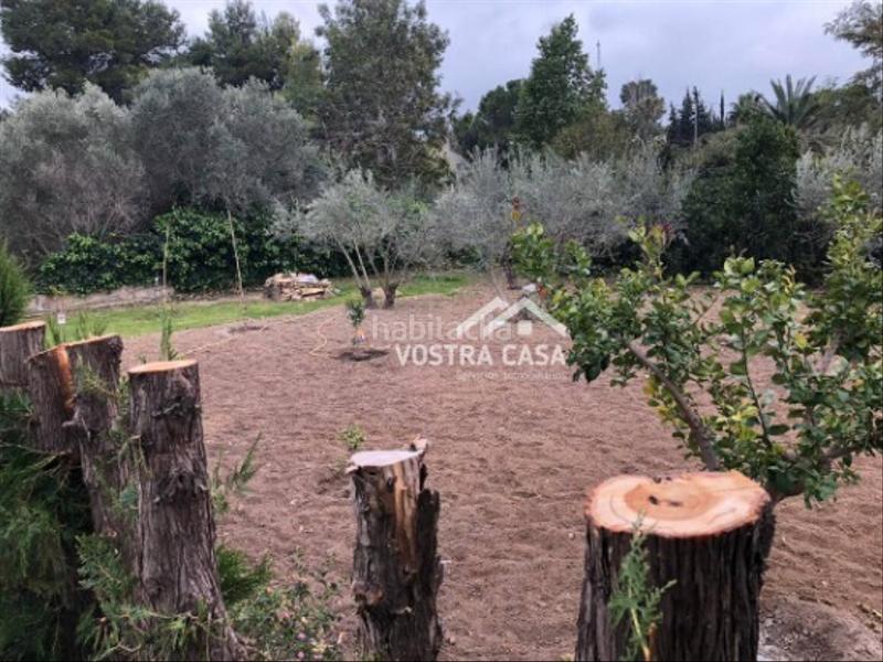 Foto 267dc506-4f44-4d01-8c63-61026857eb87. Location chalet dans barrachina dans Font de la Teula - Mas de Pavia Torrent Foto 267dc506-4f44-4d01-8c63-61026857eb87. Location chalet dans barrachina dans Font de la Teula - Mas de Pavia Torrent