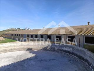 Miete Fabrikhalle in 34 Miete Fabrikhalle in 34