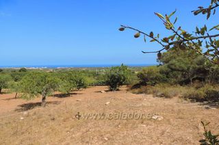 Stadtgrundstück S´horta. Parcela con vistas al mar y proyecto de ejecución cerca de s''ho Stadtgrundstück S´horta. Parcela con vistas al mar y proyecto de ejecución cerca de s''ho