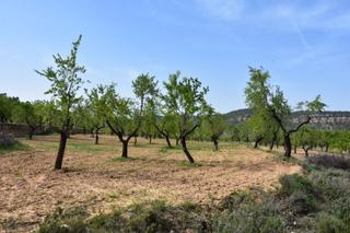 Masia a Ráfales Masia a Ráfales