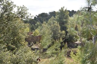 Masia a Te-v-3004 1 Masia a Te-v-3004 1