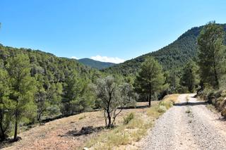 Propriété à Fuentespalda. Finca en la montaña con agua Propriété à Fuentespalda. Finca en la montaña con agua