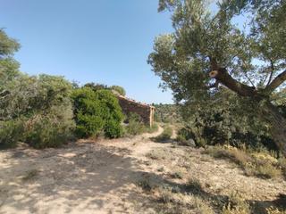 Rural plot in Calaceite. Finca rústica con maset en calaceite Rural plot in Calaceite. Finca rústica con maset en calaceite