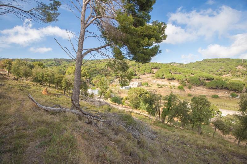 Foto 2063cf54-3505-4e91-b0b5-06c026452bca. Terrain résidentiel dans Urbanitzacions Mataró Foto 2063cf54-3505-4e91-b0b5-06c026452bca. Terrain résidentiel dans Urbanitzacions Mataró