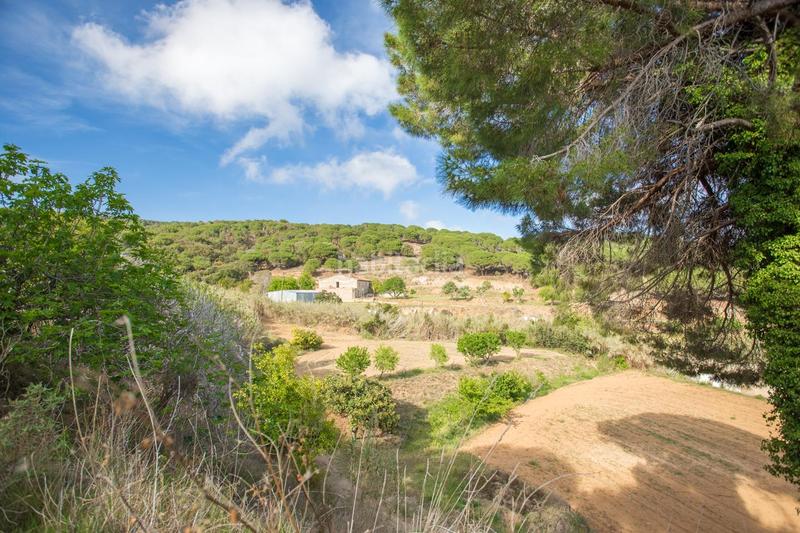 Foto ae8ee070-eabc-4b88-8f17-54c5a41d2d5c. Terrain résidentiel dans Urbanitzacions Mataró Foto ae8ee070-eabc-4b88-8f17-54c5a41d2d5c. Terrain résidentiel dans Urbanitzacions Mataró