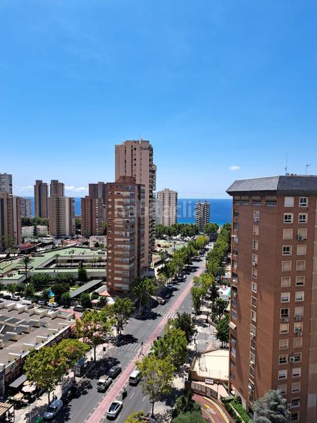 Foto 5b5c12b3-b946-46cb-95c5-c3fe41fb8ebe. Appartamento con riscaldamento piscina in Levante Alto Benidorm Foto 5b5c12b3-b946-46cb-95c5-c3fe41fb8ebe. Appartamento con riscaldamento piscina in Levante Alto Benidorm