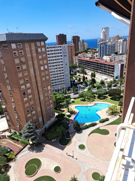 Foto eee662ee-3f5b-41f7-94e7-78dbcd11f798. Appartamento con riscaldamento piscina in Levante Alto Benidorm Foto eee662ee-3f5b-41f7-94e7-78dbcd11f798. Appartamento con riscaldamento piscina in Levante Alto Benidorm