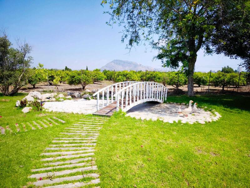 Foto 11a29fbc-6cc3-47af-8edf-7217c2dc959d. Xalet amb aparcament piscina a El Marenyet Cullera Foto 11a29fbc-6cc3-47af-8edf-7217c2dc959d. Xalet amb aparcament piscina a El Marenyet Cullera