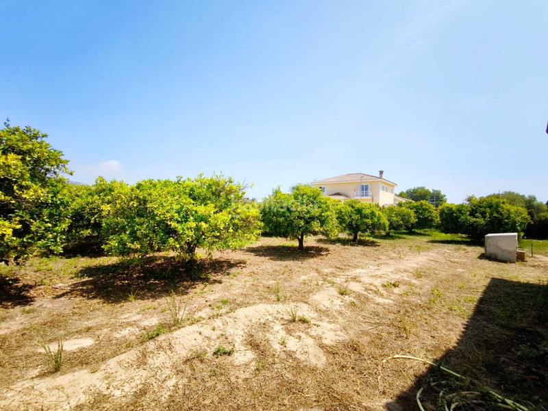 Foto 12e388c7-39a6-4a6f-b7af-5b9c2aaf94f5. Xalet amb aparcament piscina a El Marenyet Cullera Foto 12e388c7-39a6-4a6f-b7af-5b9c2aaf94f5. Xalet amb aparcament piscina a El Marenyet Cullera