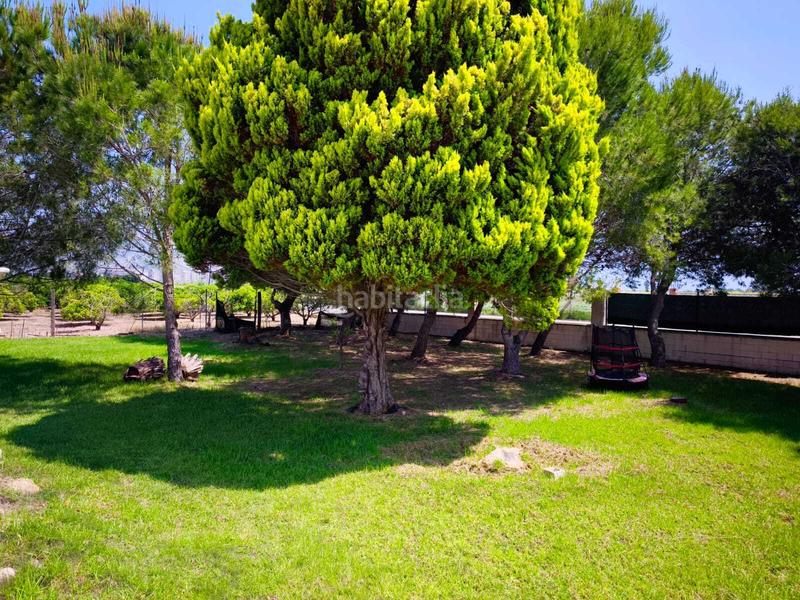 Foto 2b122206-070a-4056-959e-9ee3297df3dd. Xalet amb aparcament piscina a El Marenyet Cullera Foto 2b122206-070a-4056-959e-9ee3297df3dd. Xalet amb aparcament piscina a El Marenyet Cullera