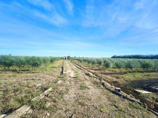 Terreny residencial a Fortaleny. Se vende excelente finca rústica de 25 hanegadas, situada en el Terreny residencial a Fortaleny. Se vende excelente finca rústica de 25 hanegadas, situada en el