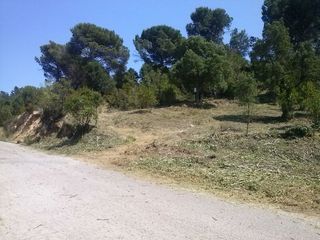 Residential Plot in Avda. mil·leni, 70 urb. lloret residencial. Muy bien ubicado Residential Plot in Avda. mil·leni, 70 urb. lloret residencial. Muy bien ubicado