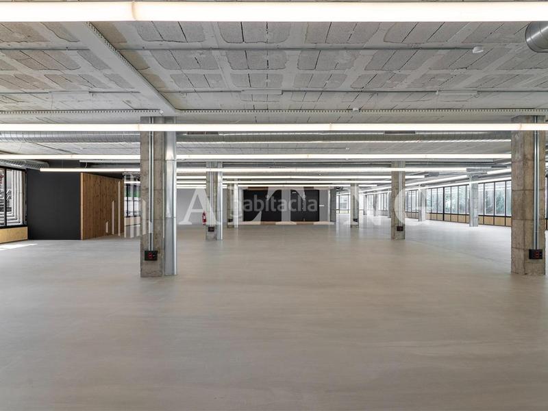 Foto 5cafbea8-cb25-4a0c-8c74-72a7264aaa57. Rent office space with heating in Sant Ramon - Maternitat Barcelona Foto 5cafbea8-cb25-4a0c-8c74-72a7264aaa57. Rent office space with heating in Sant Ramon - Maternitat Barcelona